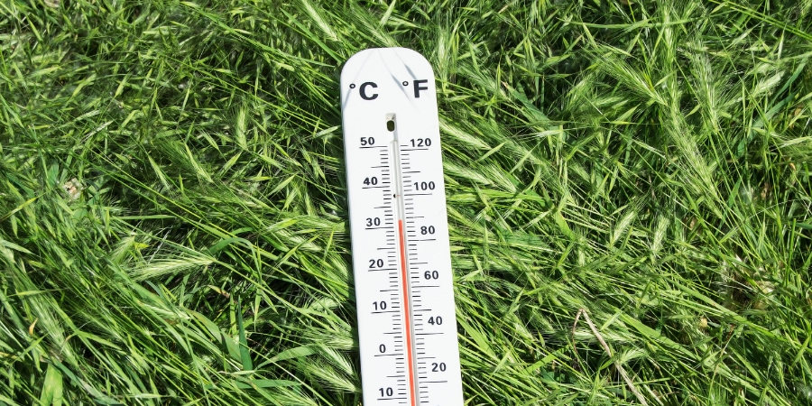 Never do this to your lawn winter edition Thermometer 