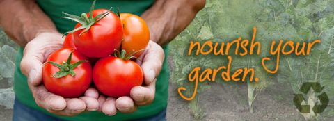 Man holding tomatoes A man holding healthy, bright-red tomatoes. Nourish your garden with Milorganite fertilizer.