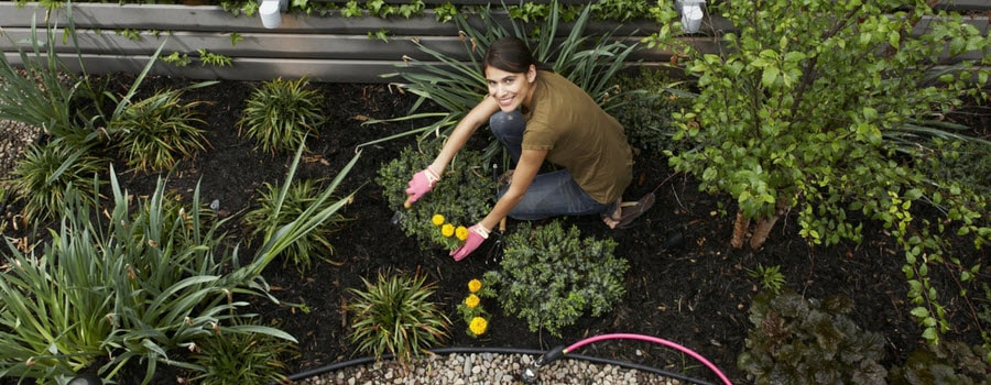 Woman Planting a Garden