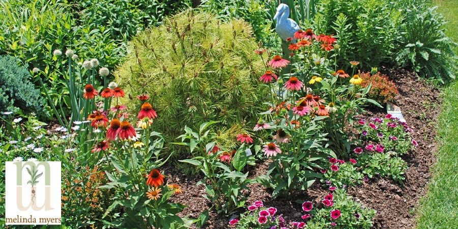 small rain garden