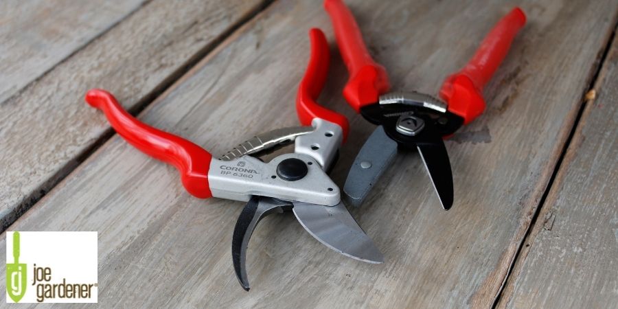 two red pruning shears 