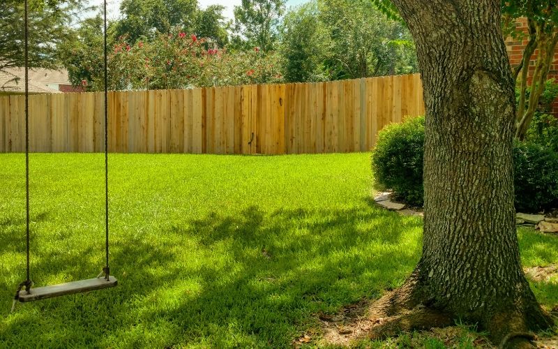 green lawn and landscape 
