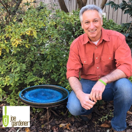 joe gardener next to a bird bath