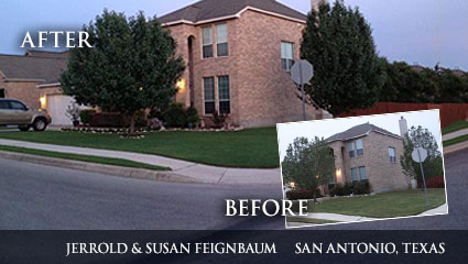 Green lawn A nice green lawn in Texas after having followed Milorganite's reccomended fertilization schedule.