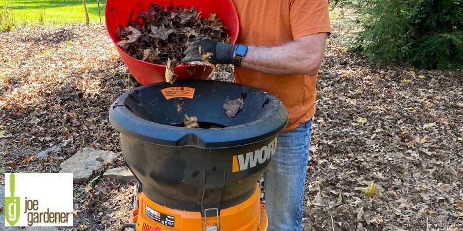 leaves going into an electric leaf shreader