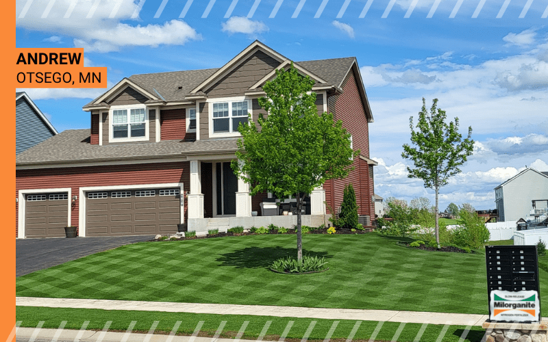 Picture of lawn fertilized with Milorganite.