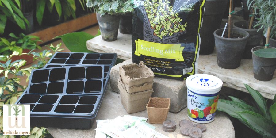 recycled pots and seedling plants