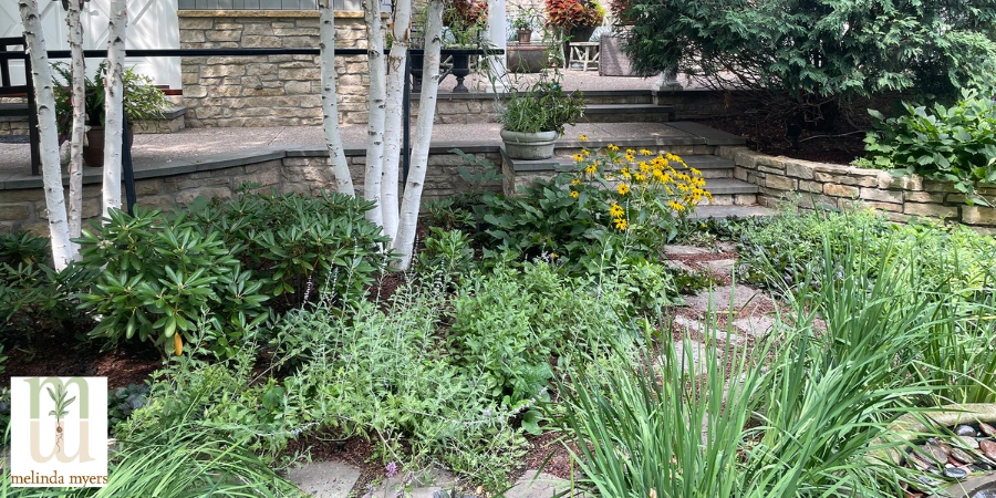 alternative landscaping