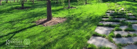 GGW_Organic_Lawn.jpg