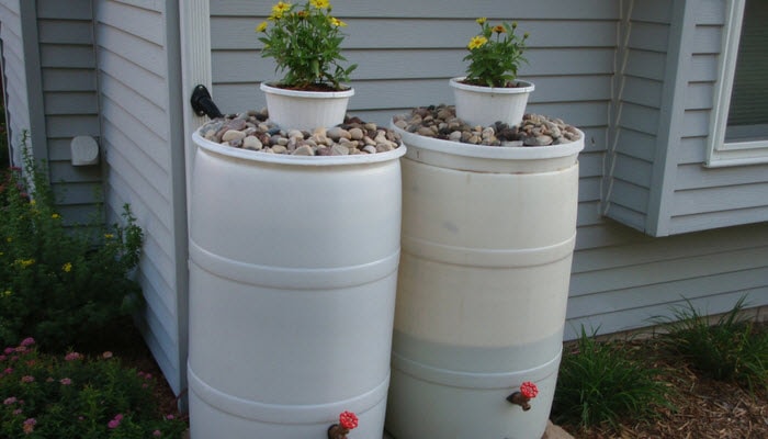 Rain Barrels for a home garden
