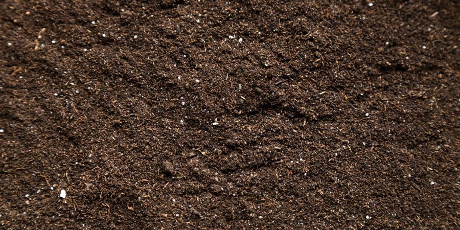 Warm Season Soil .jpg