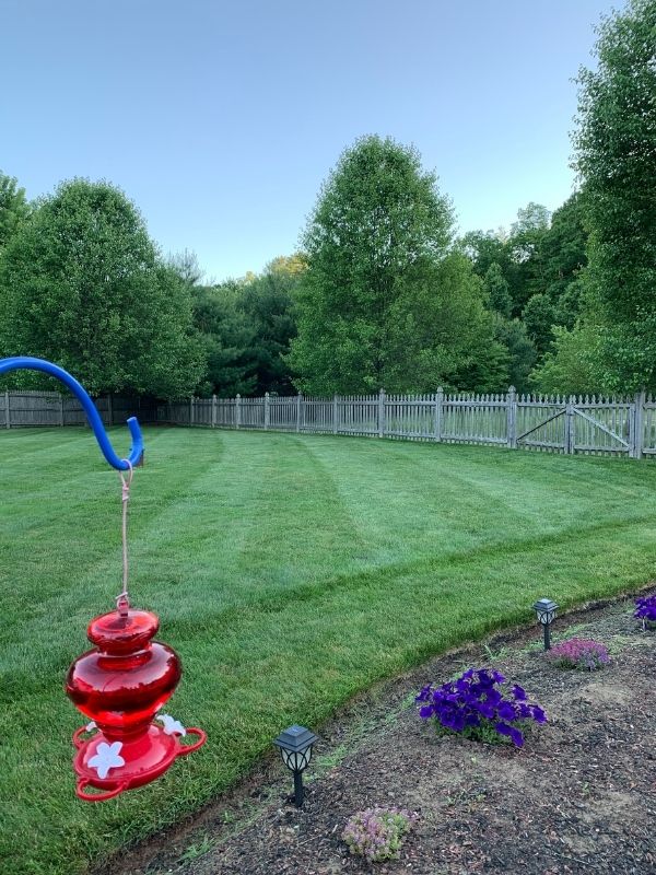 green lawn in new hampshire