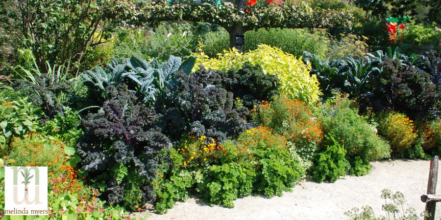 vegetable and flower garden