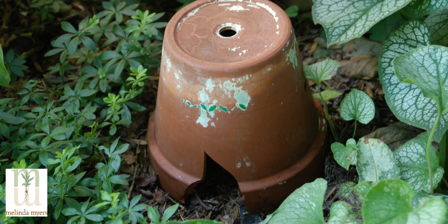 toad abode of upside down pot