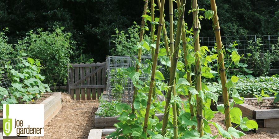 Bamboo Stick Teepee in Garden