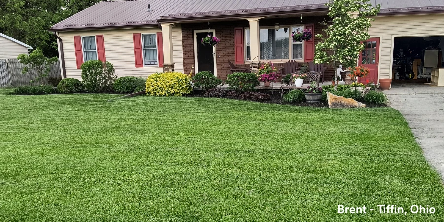 green lawn in front of landscaped house