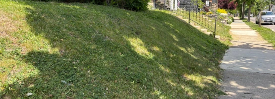 growign_grass_on_hill_900x450_555_x_201_px_1.webp