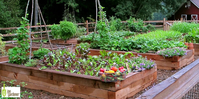 Raised bed garden