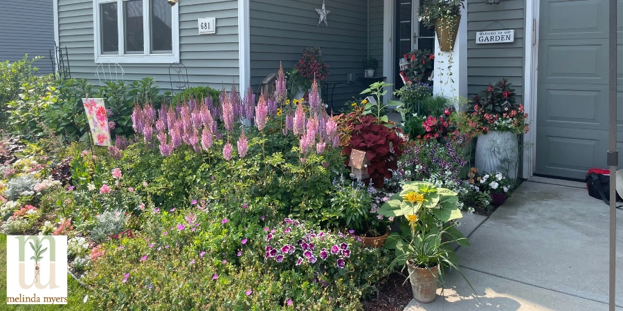 curb appeal polinator plants in front of house
