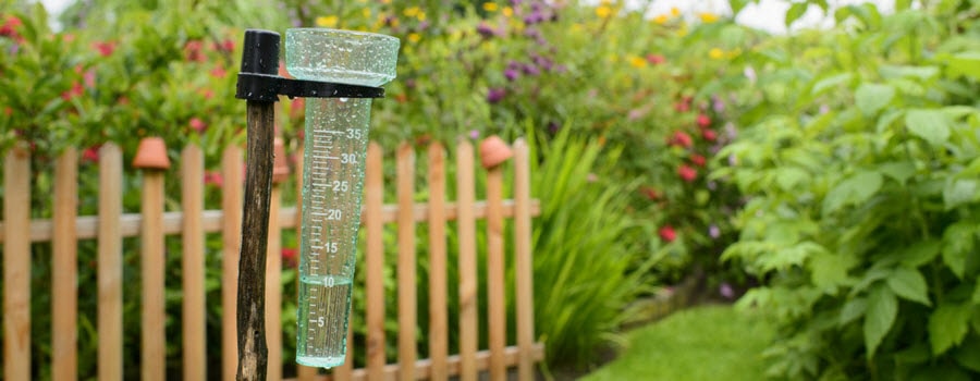 rain gauge in the landscape