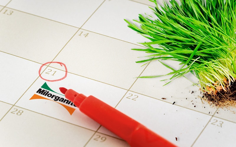 Milorganite fertilizer schedule and application rate information. 