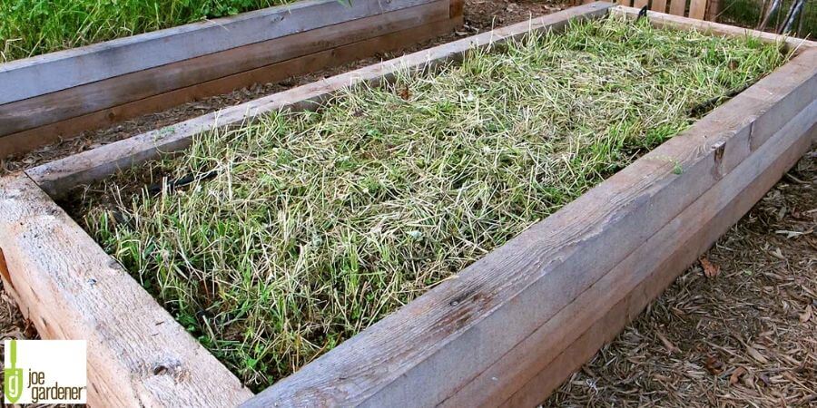 Joe Gardener Cover Crop Raised Bed 