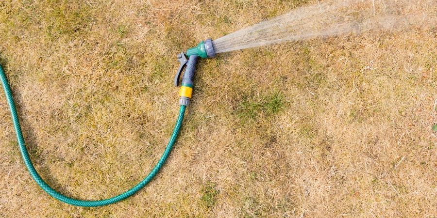 Don't over water in drought conditions