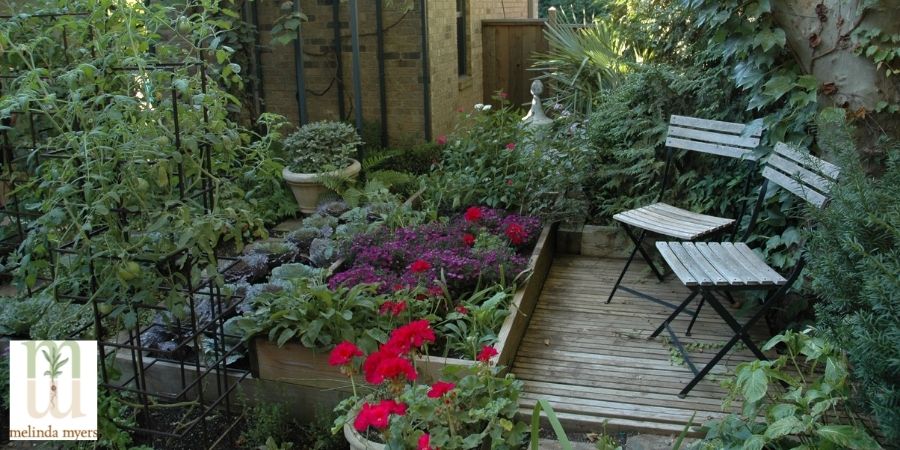 patio garden with green plants
