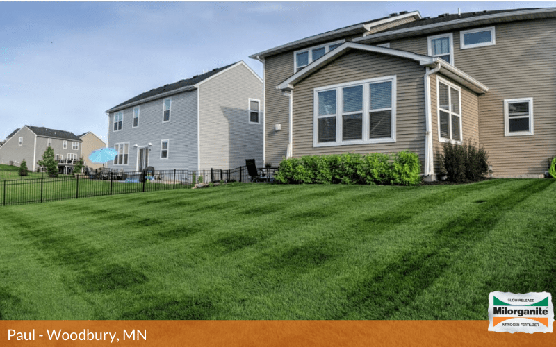 Green Landscape Beautiful green and healthy landscape thanks to Milorganite fertilizer.
