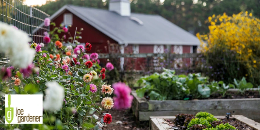 jg raised bed and flowers 900 x 450 px).webp