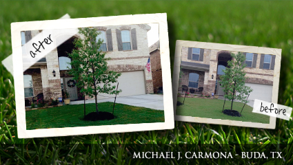 Before-and-after Milorganite picture Before-and-after picture of lawn fertilized with Milorganite for just two months.