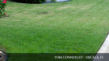 Side-by-side fertilizer comparision Comparision of a healthy green lawn that is fertilized with Milorganite, and a more brown lawn that does not use Milorganite.
