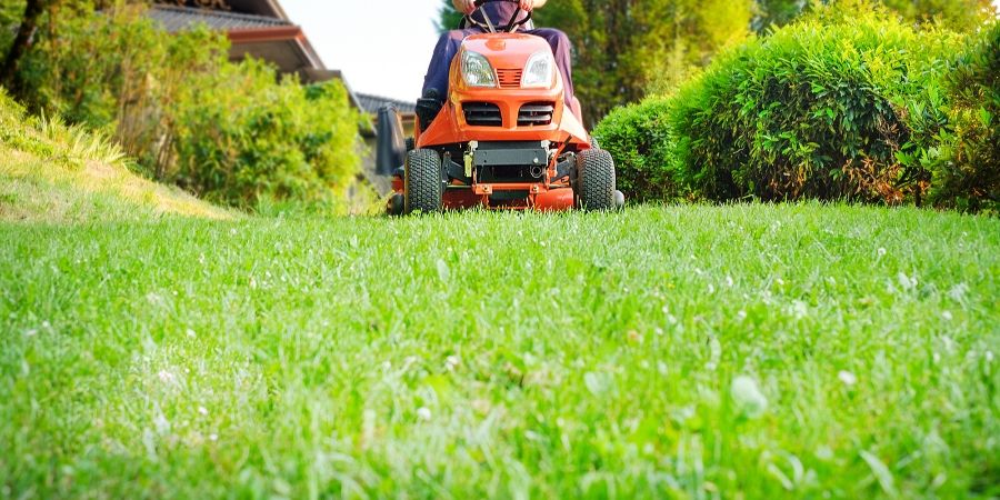 lawn mower on northern lawn