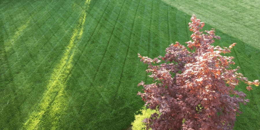 MowingPatternLawn900x450.png