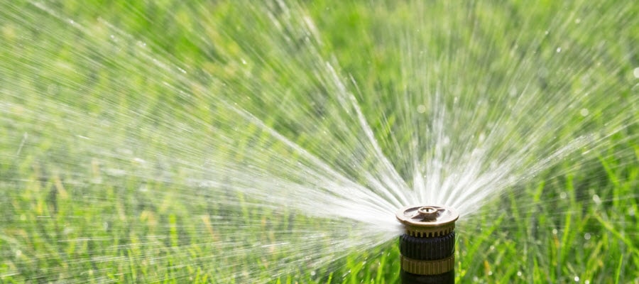 In ground lawn watering system