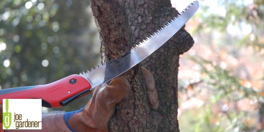 hand saw cutting off a branch