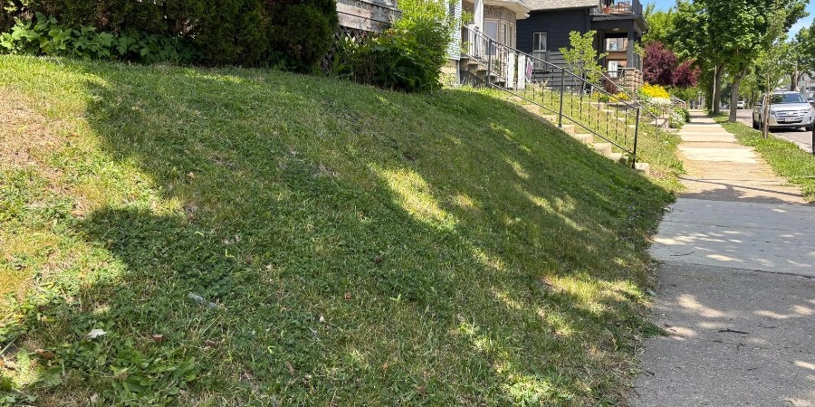 growign grass on hill