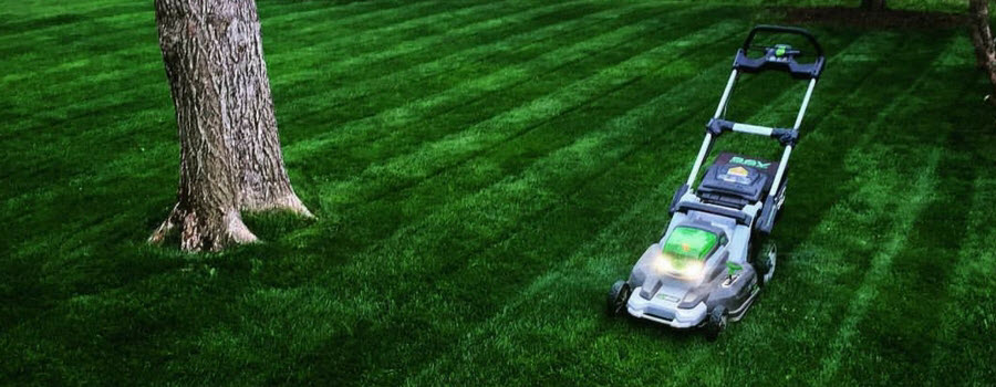 Lawn Mower in Green Grass