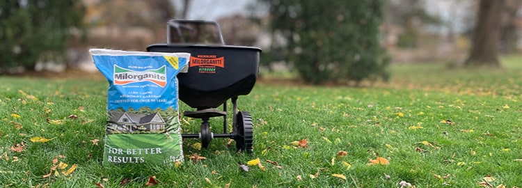 man spreading grass seed