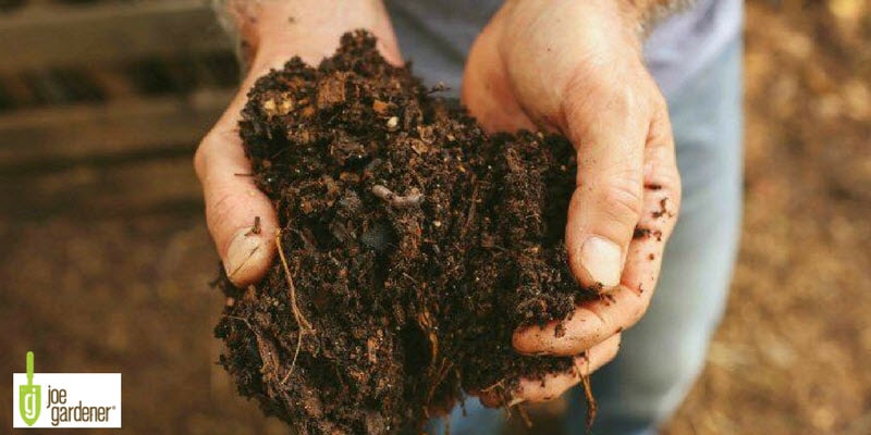 Holding compost in hands