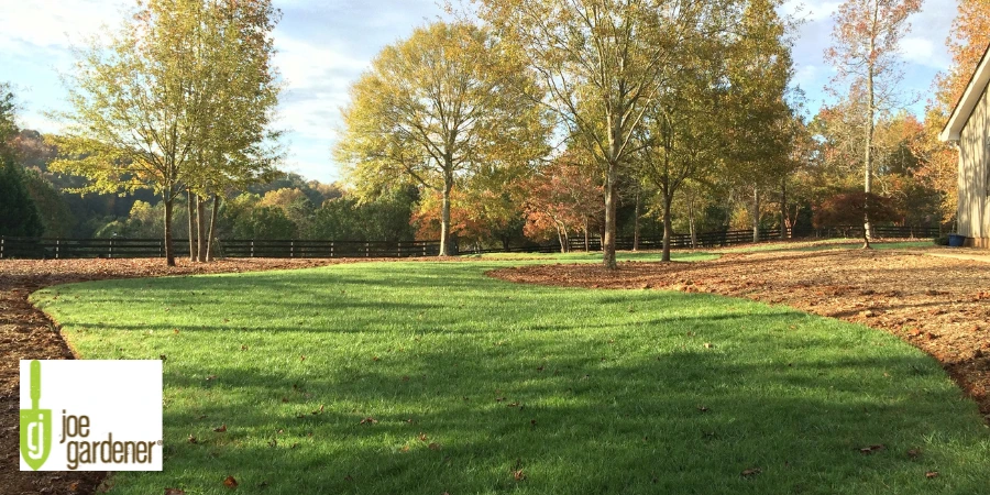 joe gardeners fall lawn