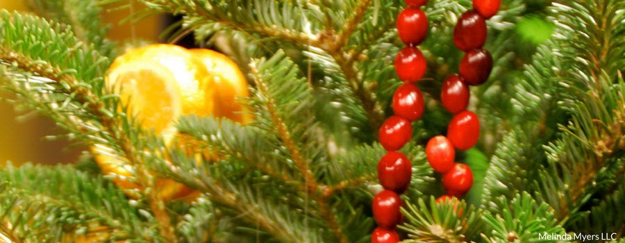 Christmas tree with fruit for the birds