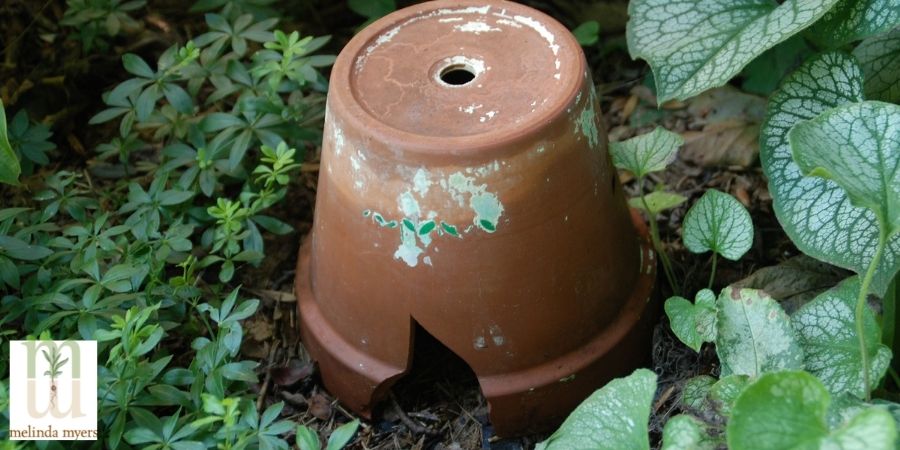 cracked garden pot for toads