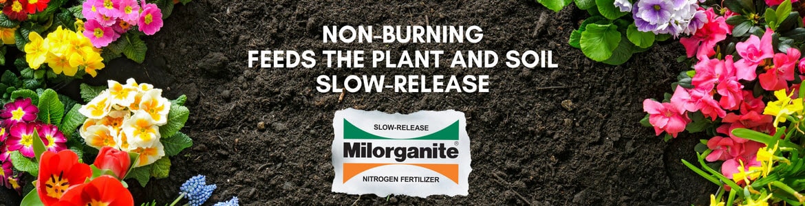 Milorganite logo and brightly colored flowers Milorganite fertilizer promotes healthy flower gardens