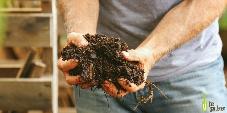 Hands holding compost