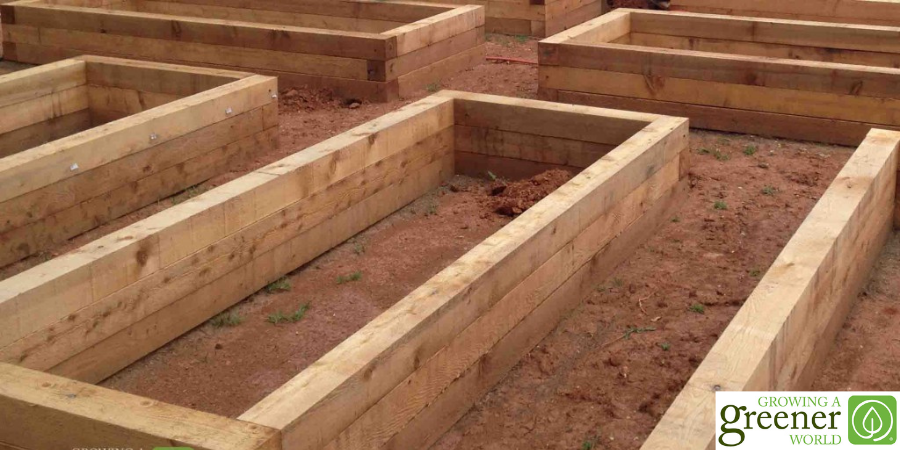 Empty raise garden beds.