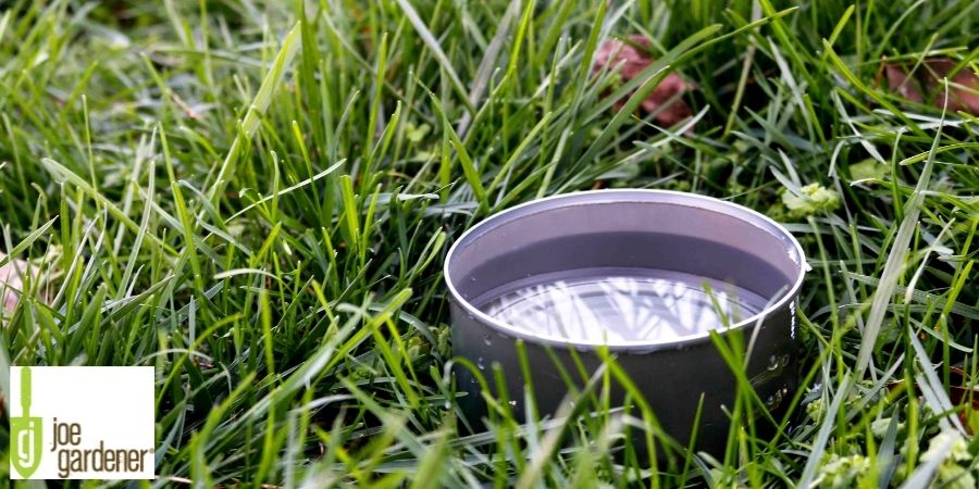 water in tuna can in the lawn