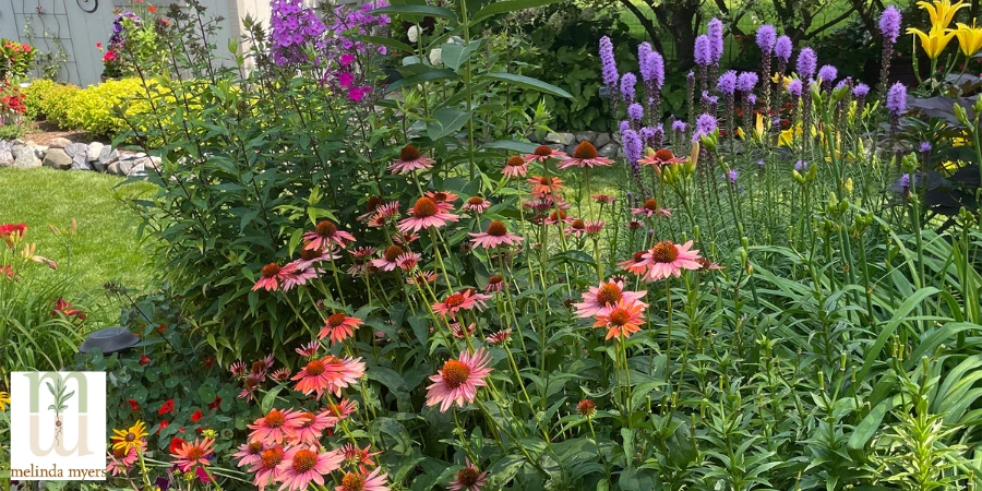 garden in landscape