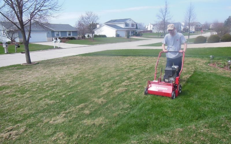 man dethatching lawn