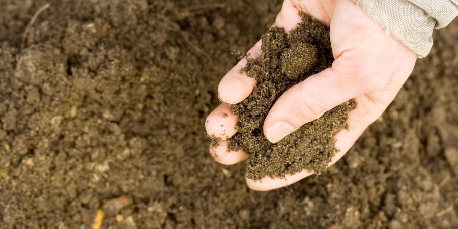 hand holding dirt over pile of soil